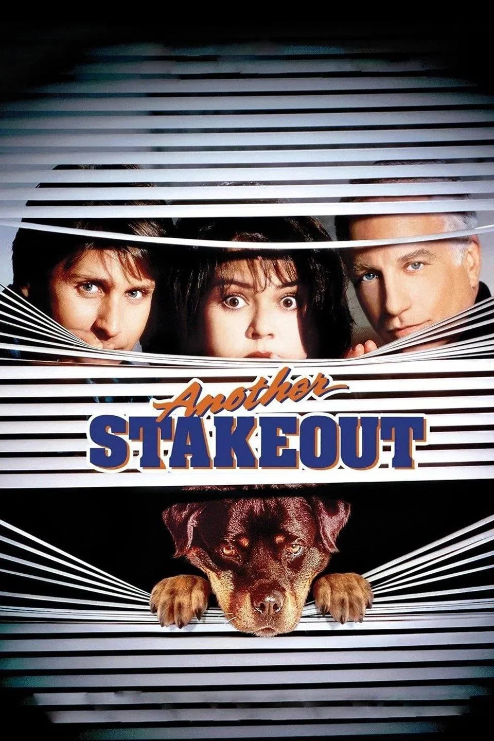 Another Stakeout - Cover