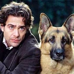 Rex, chien flic - Cover