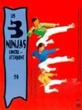Les 3 ninjas contre-attaquent - Cover
