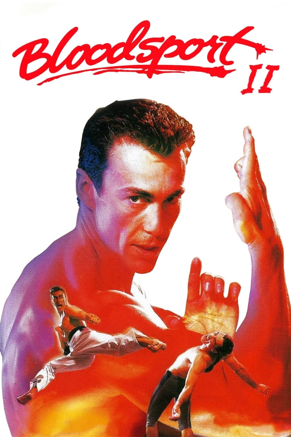 Bloodsport 2 - Cover