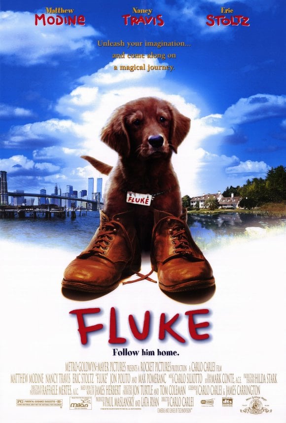 Fluke - Cover