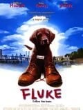 Fluke - Cover