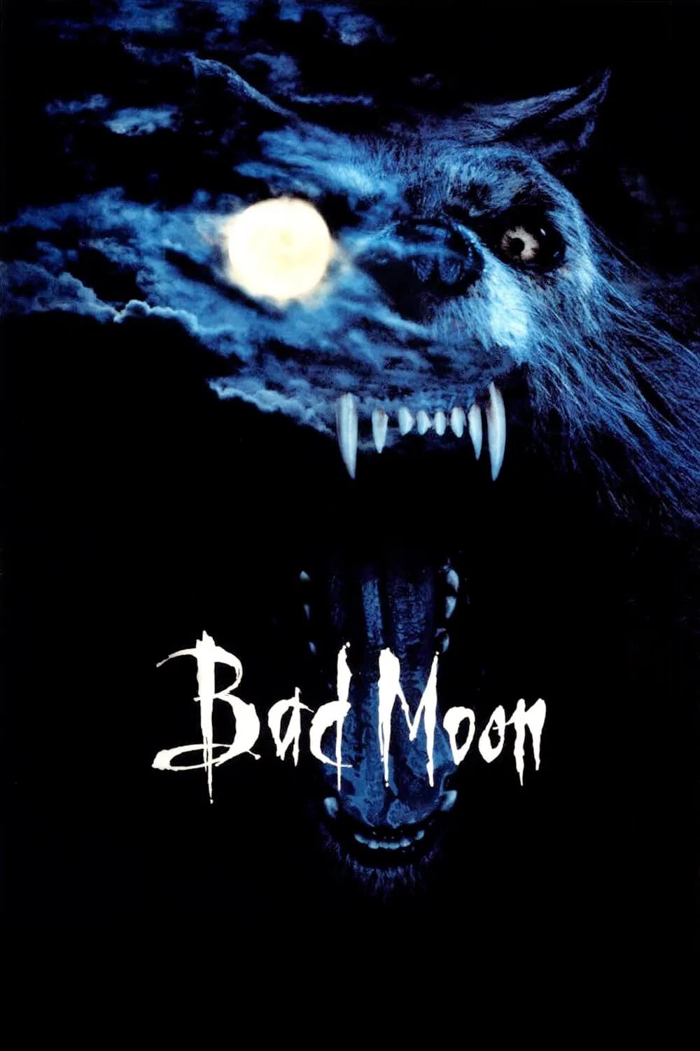 Bad Moon - Cover