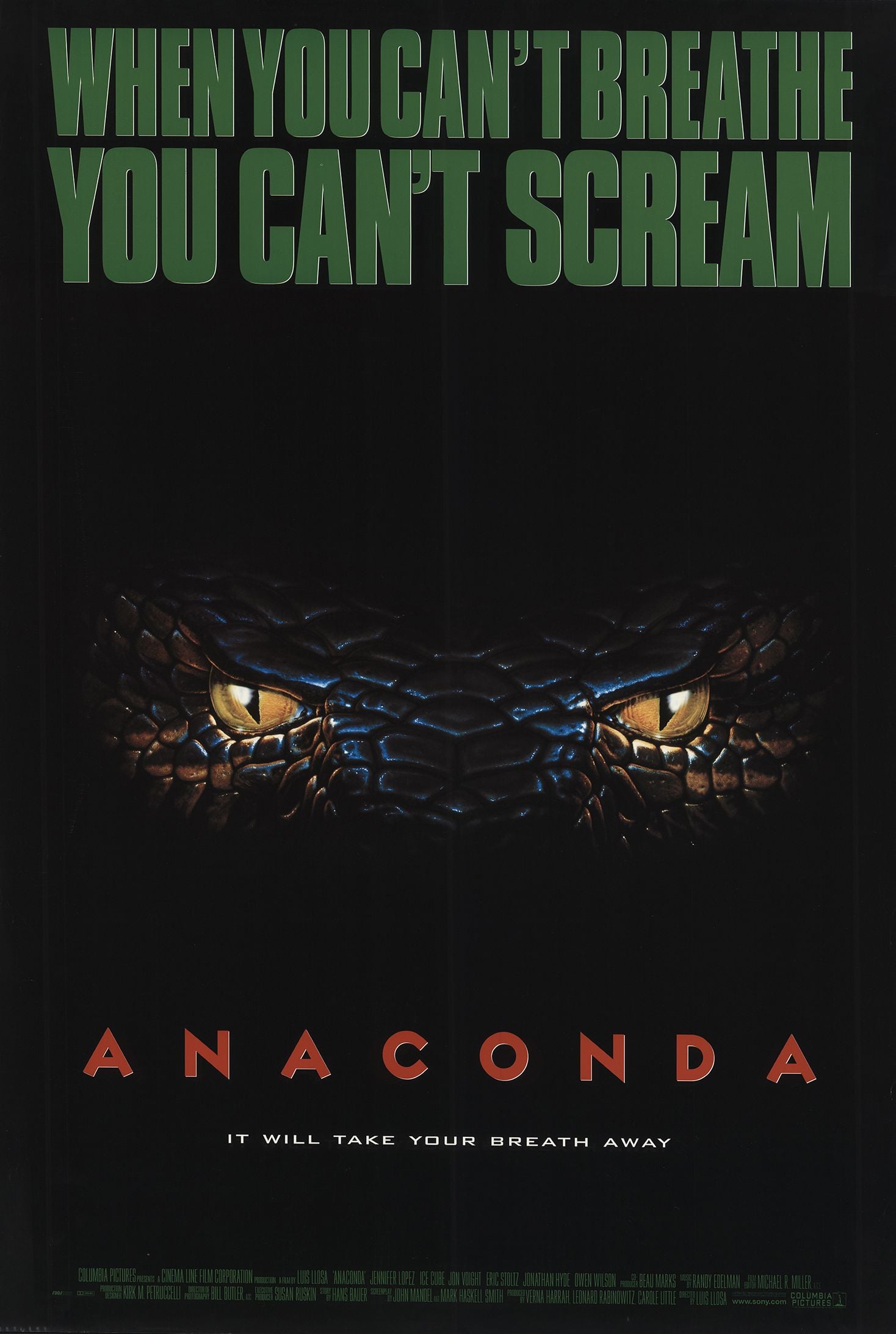 Anaconda - Cover