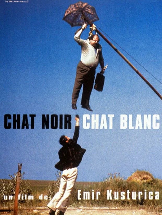 Chat noir, chat blanc - Cover