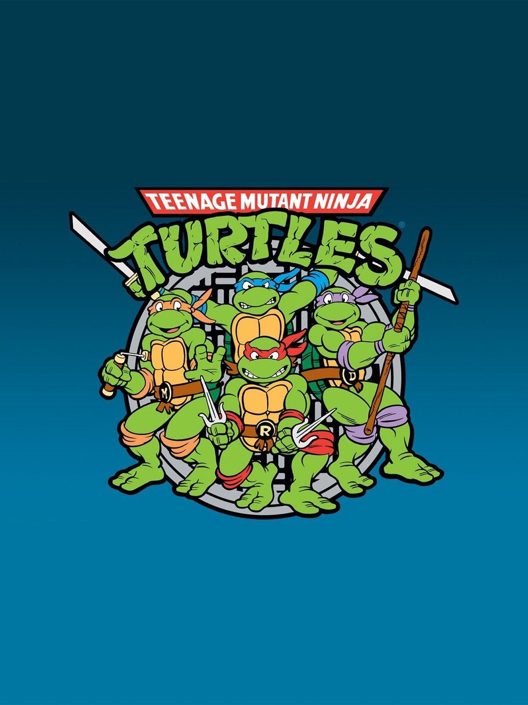 Teenage Mutant Ninja Turtles - Cover