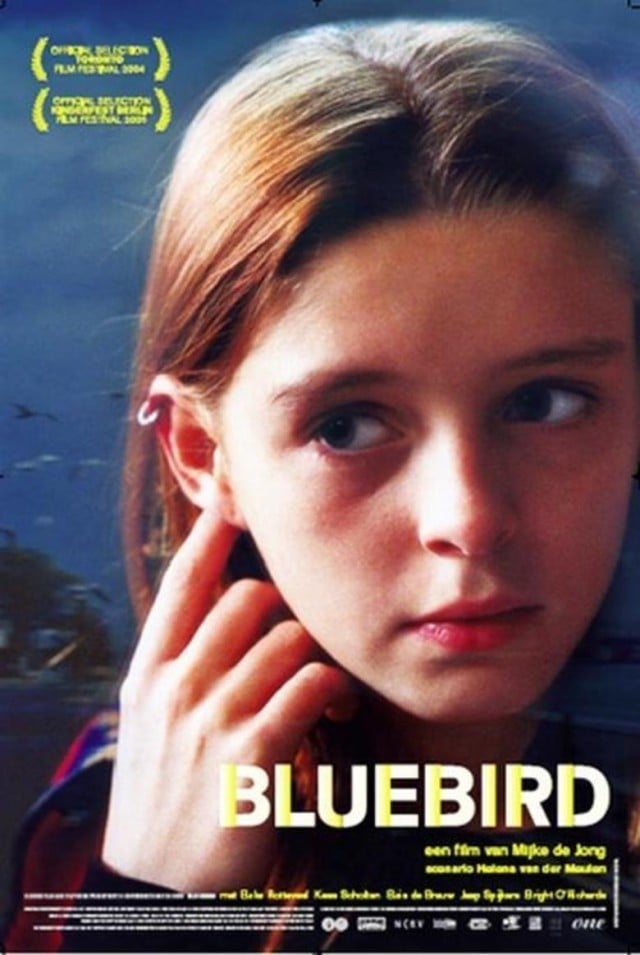 Bluebird - Cover