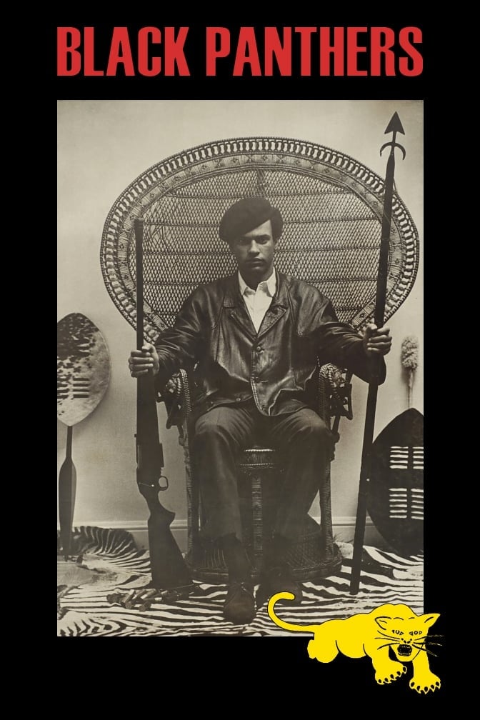 Black Panthers - Cover