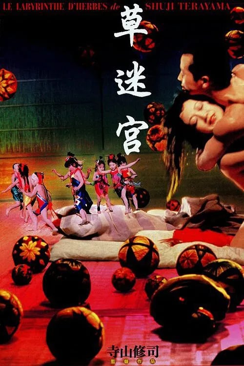 Le Labyrinthe d'herbes - Cover