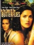 In the Time of the Butterflies - Cover