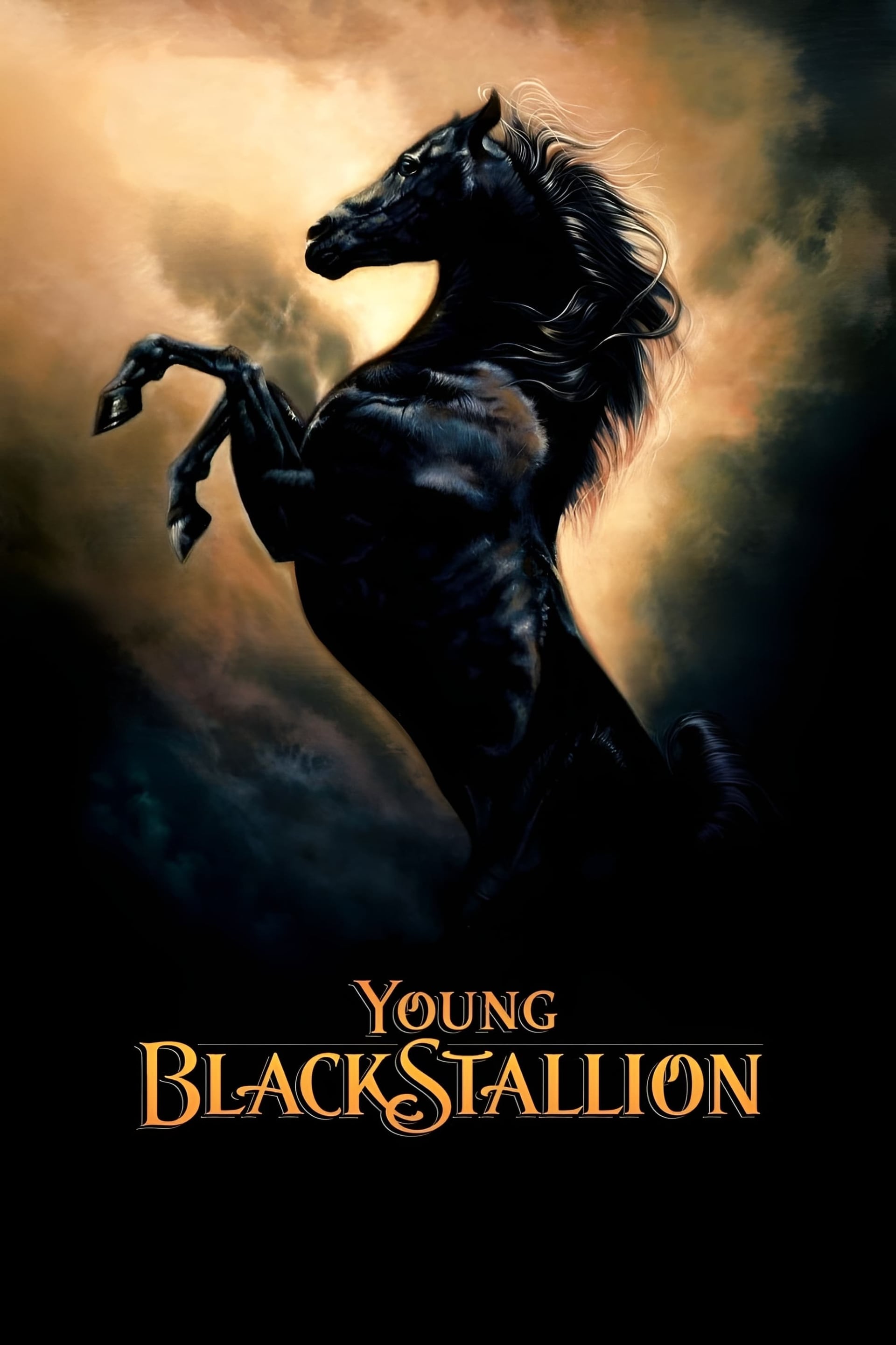 Young Black Stallion - Cover