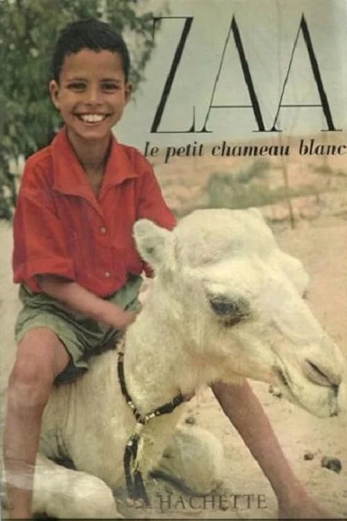 Zaa, petit chameau blanc - Cover