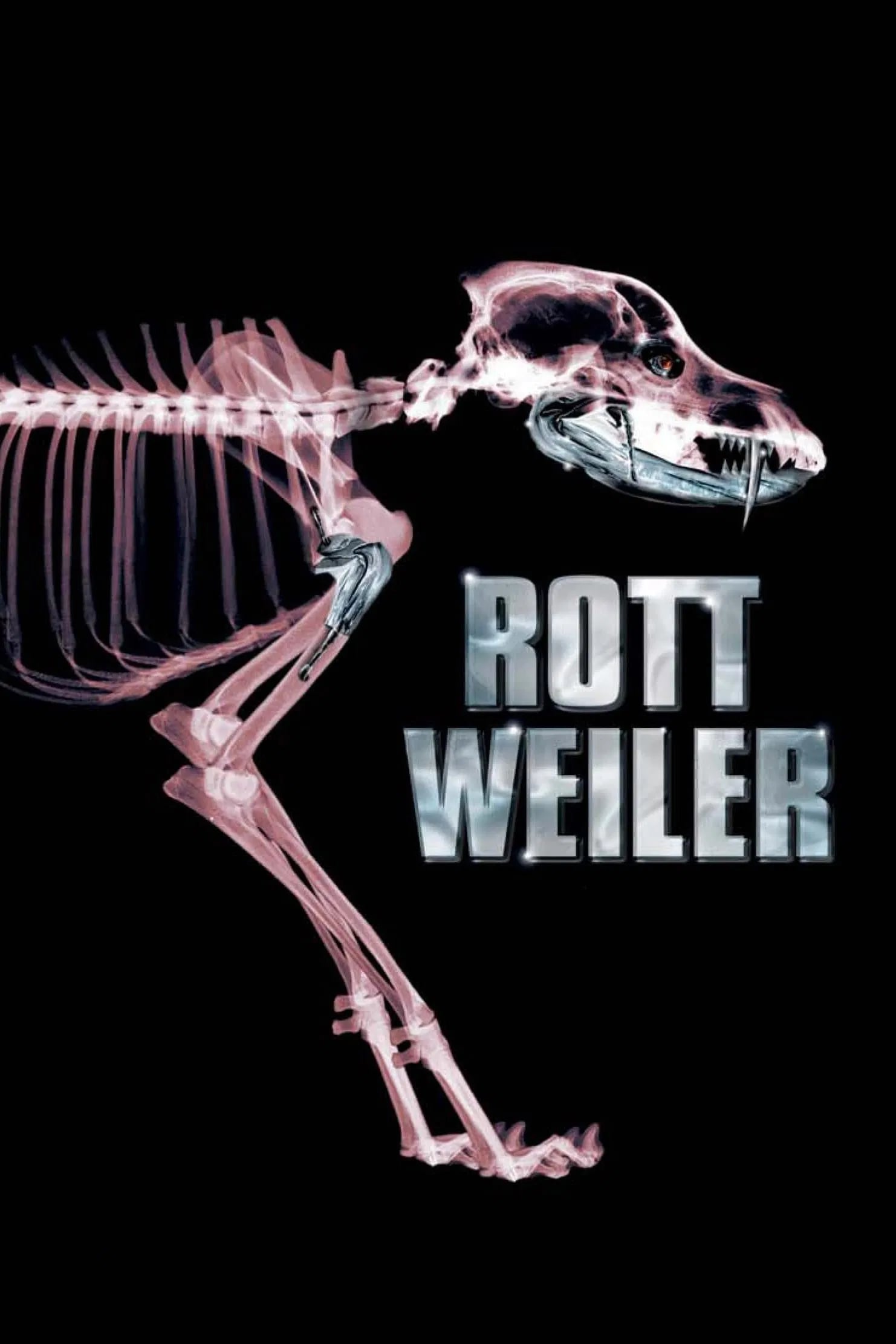 Rottweiler - Cover