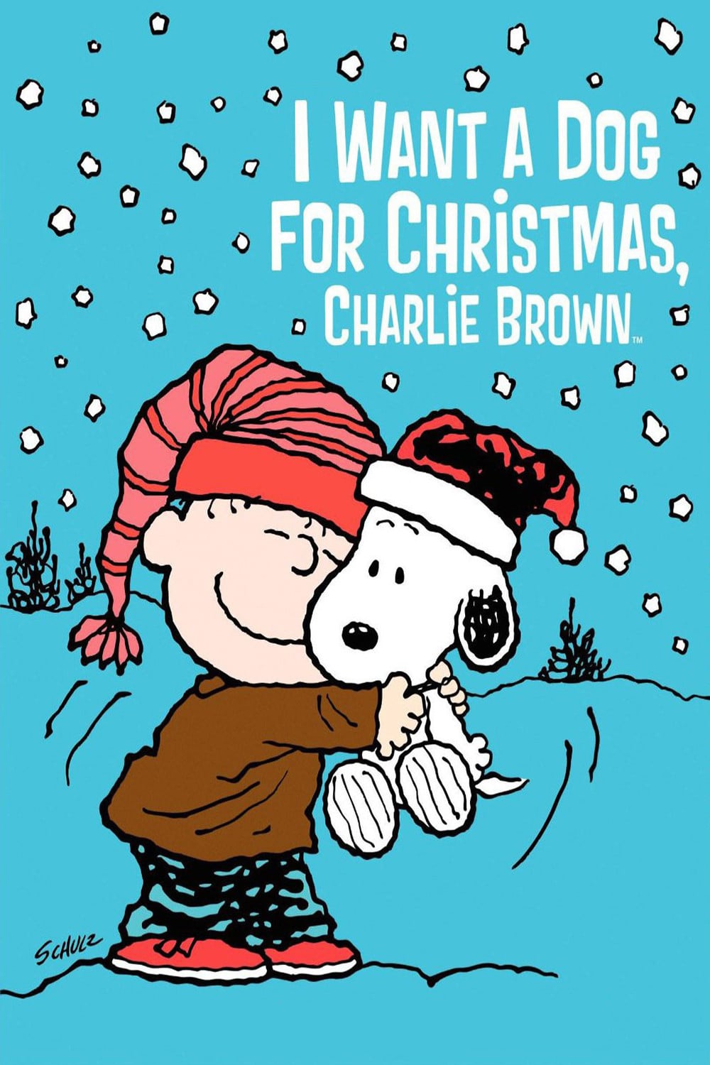 I Want a Dog for Christmas, Charlie Brown - Cover