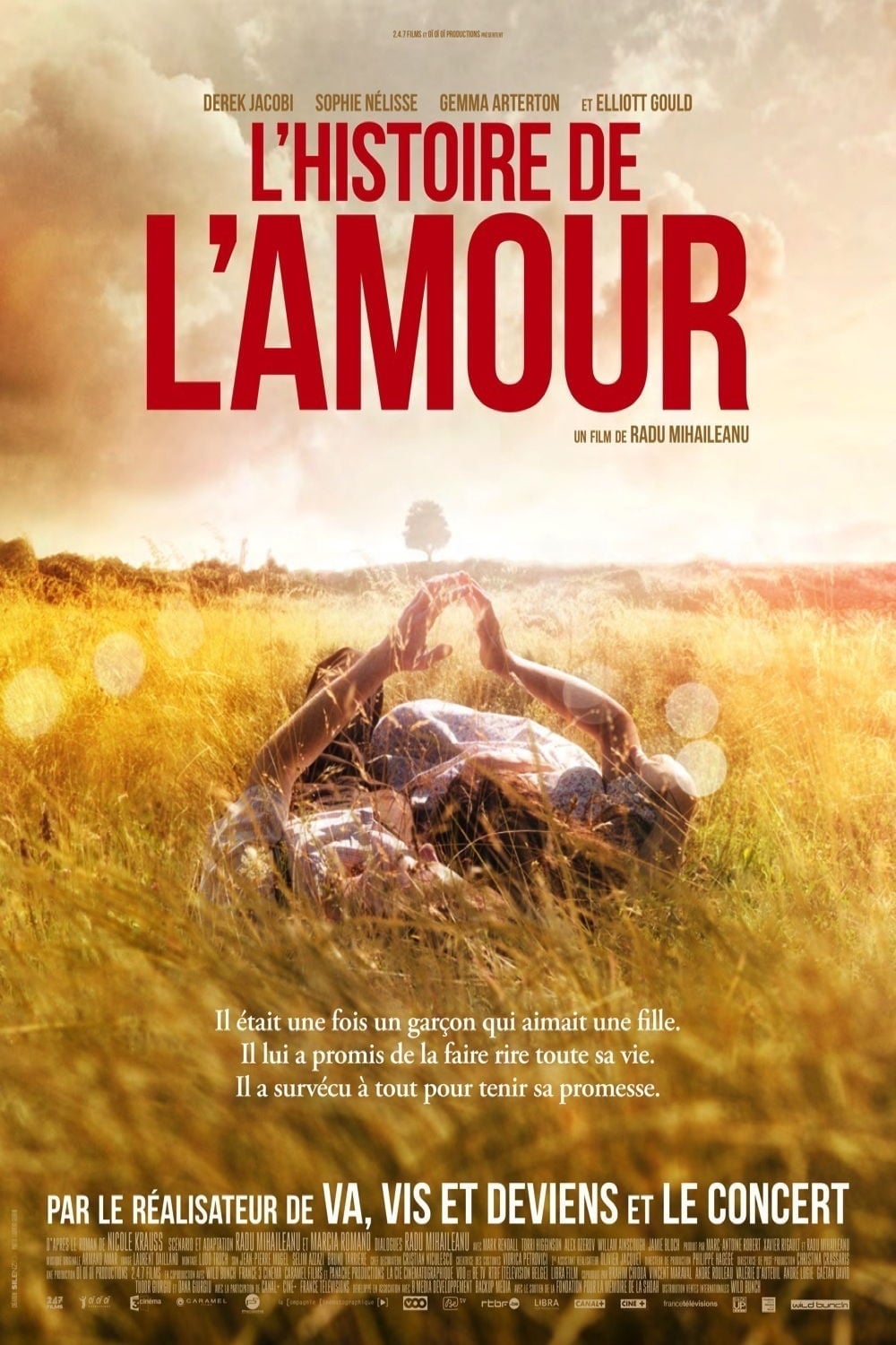 L'Histoire de l'Amour - Cover