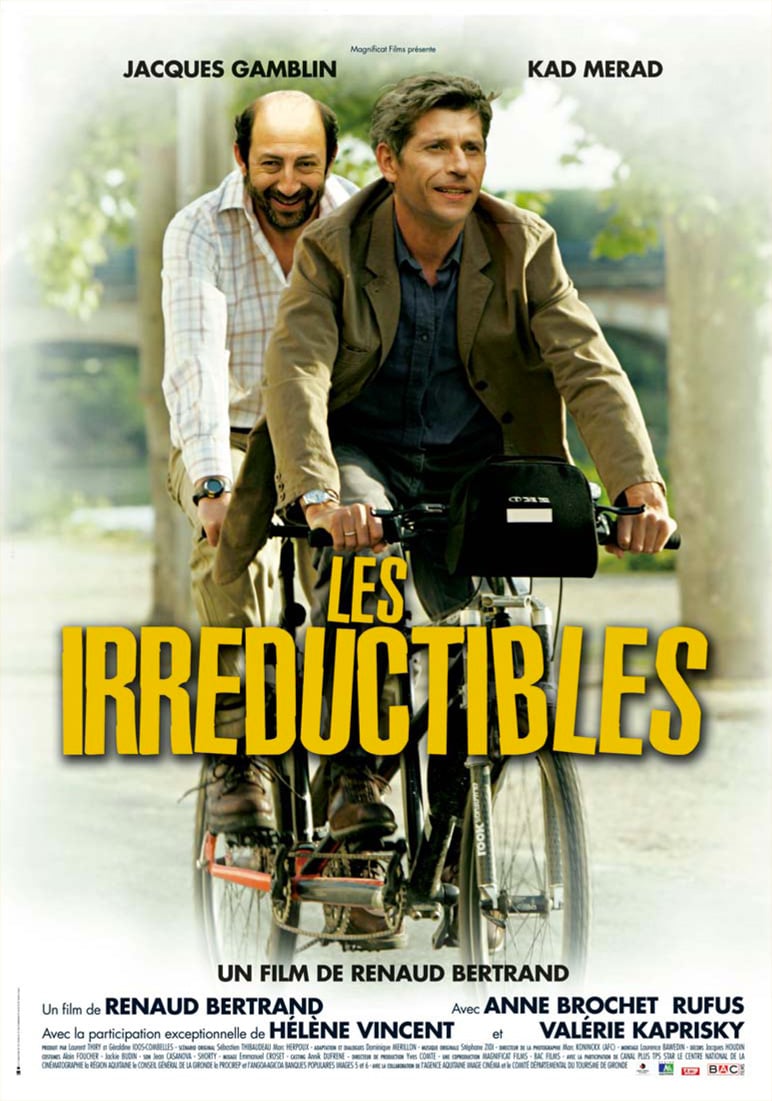 Les Irréductibles - Cover