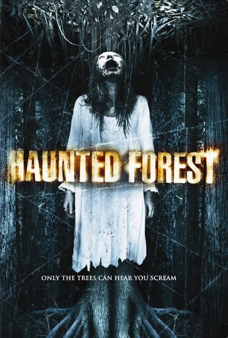 Haunted Forest - Cover