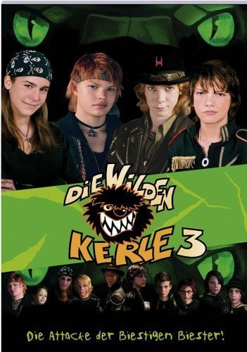 Die Wilden Kerle 3 - Cover