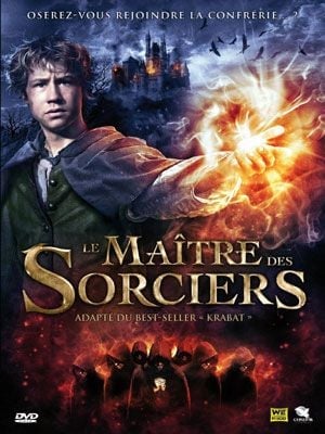 Le Maître des sorciers - Cover