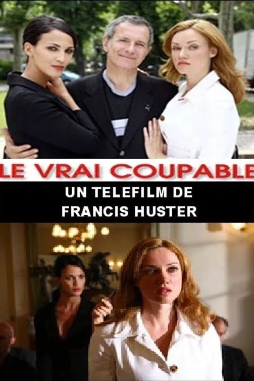 Le Vrai coupable - Cover