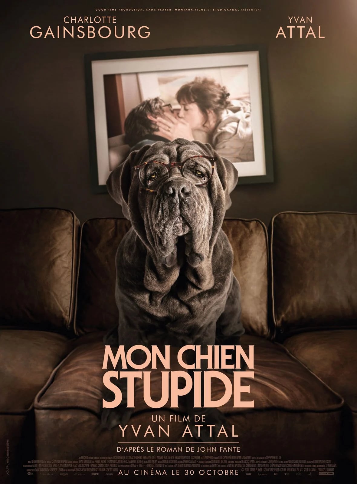 Mon chien Stupide - Cover