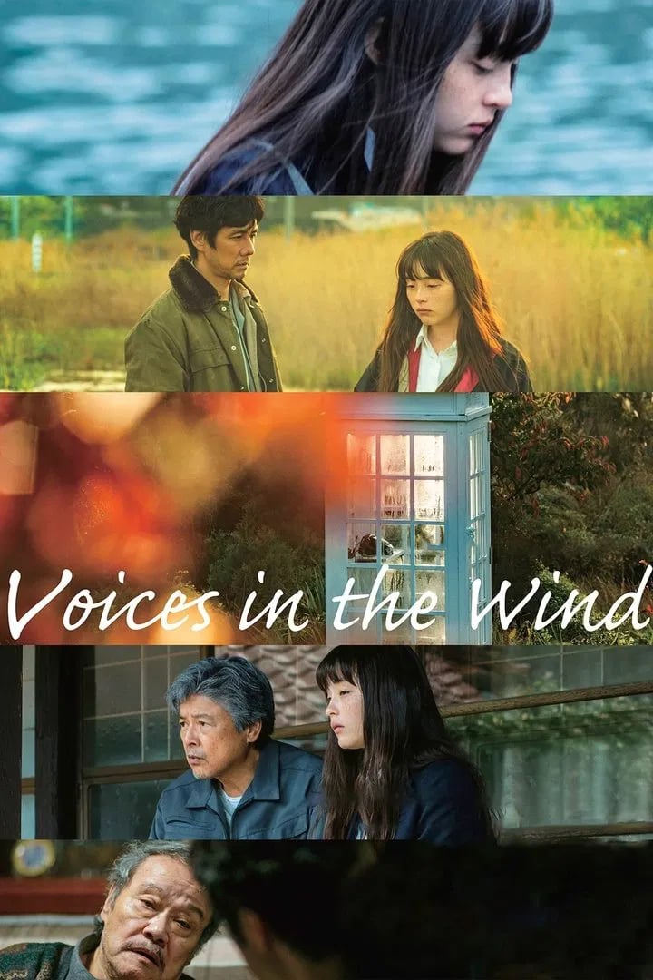 Voices in the Wind - Cover