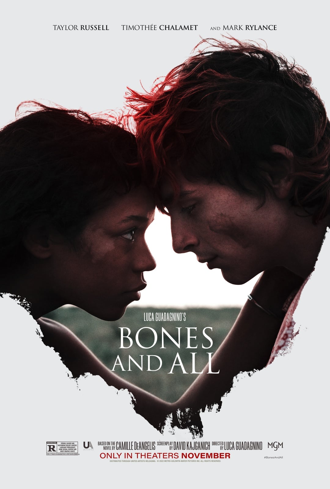 Bones and All - Cover