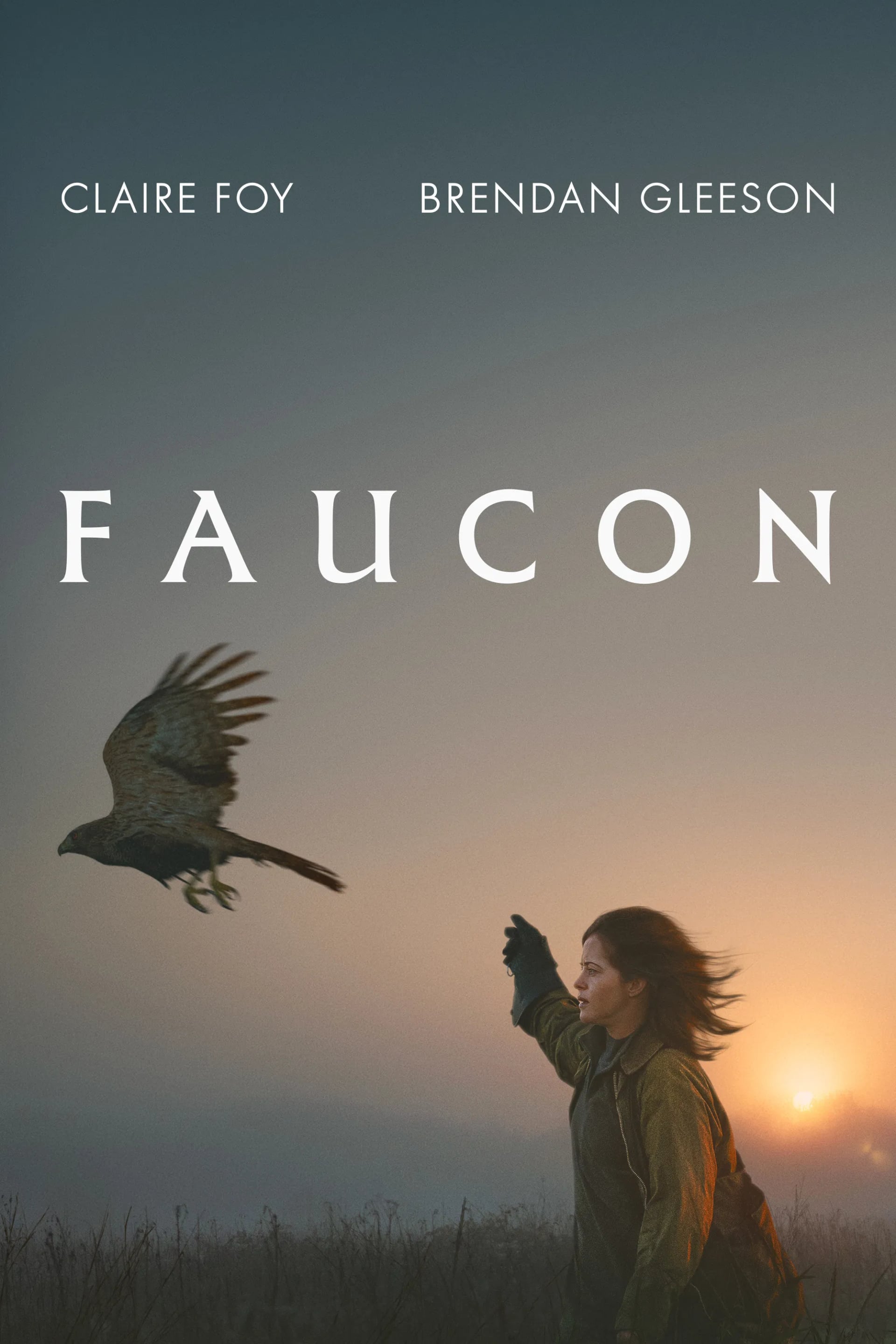 H Is for Hawk - Cover