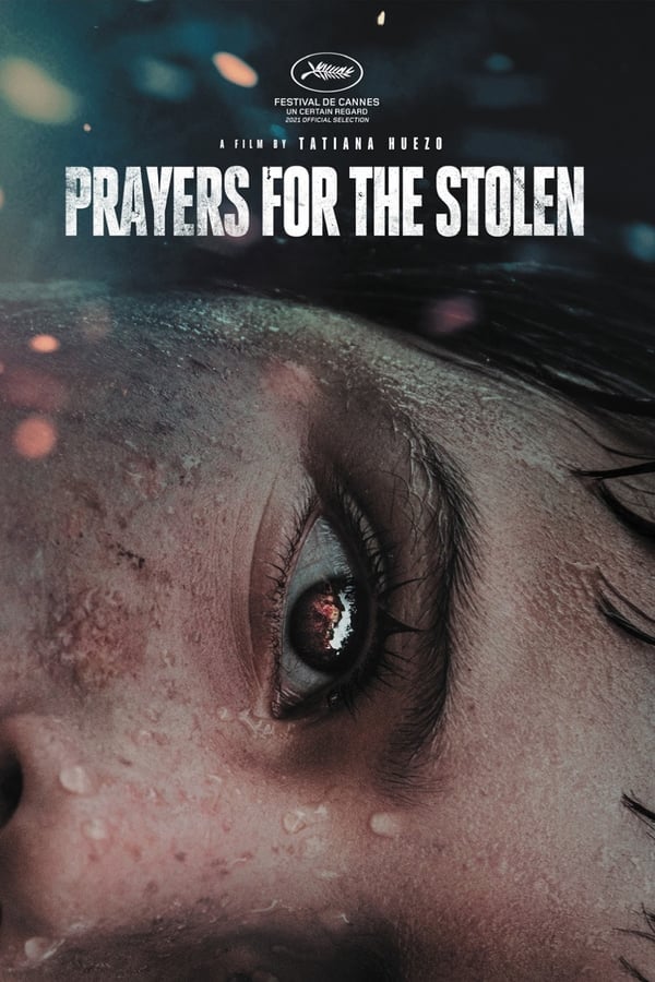 Prayers for the Stolen - Cover
