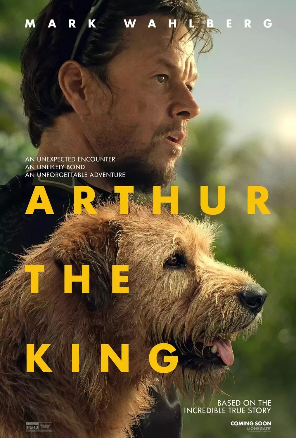 Arthur the King - Cover