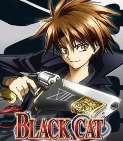 Black Cat - Cover