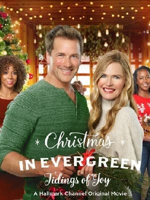 Le Calendrier secret de Noël - Cover