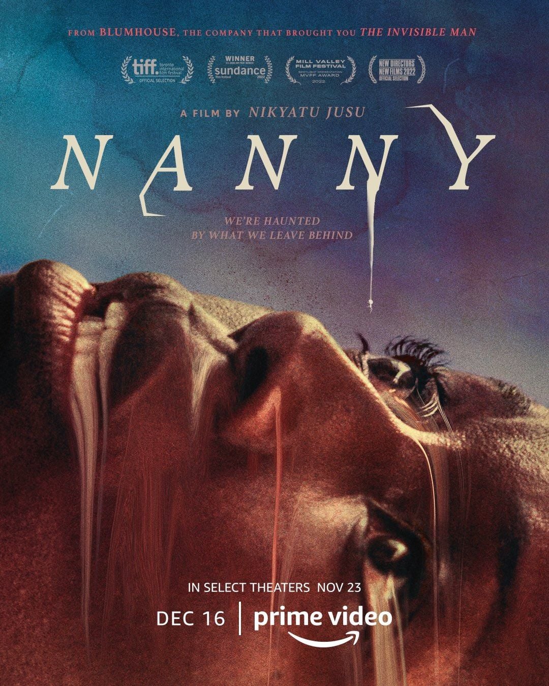 Nanny - Cover
