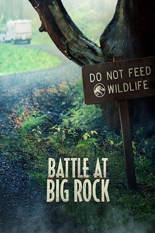 Battle at Big Rock - Cover