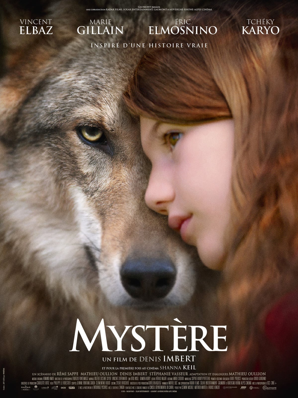 Vicky and Her Mystery - Cover