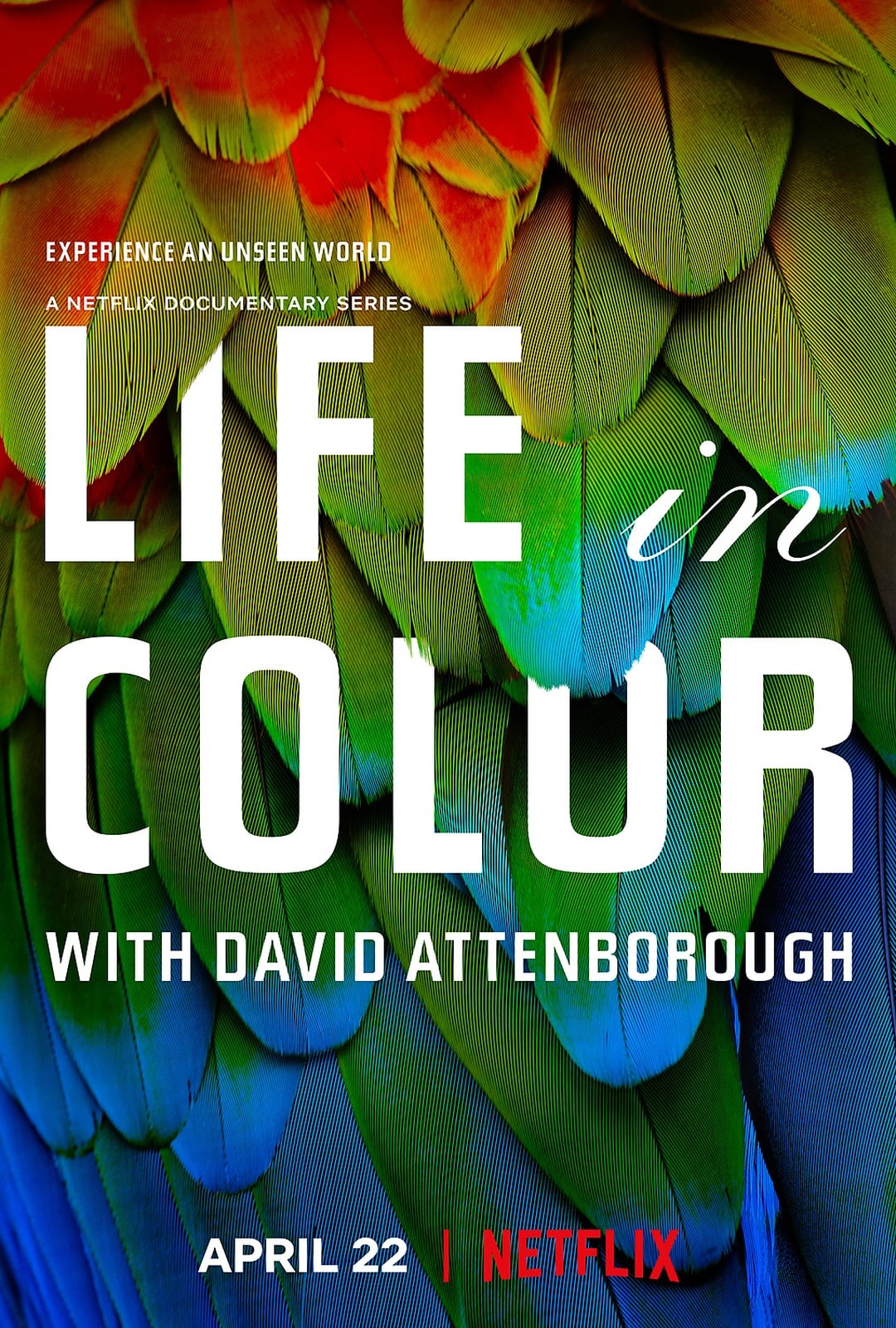 Life in Colour - Cover