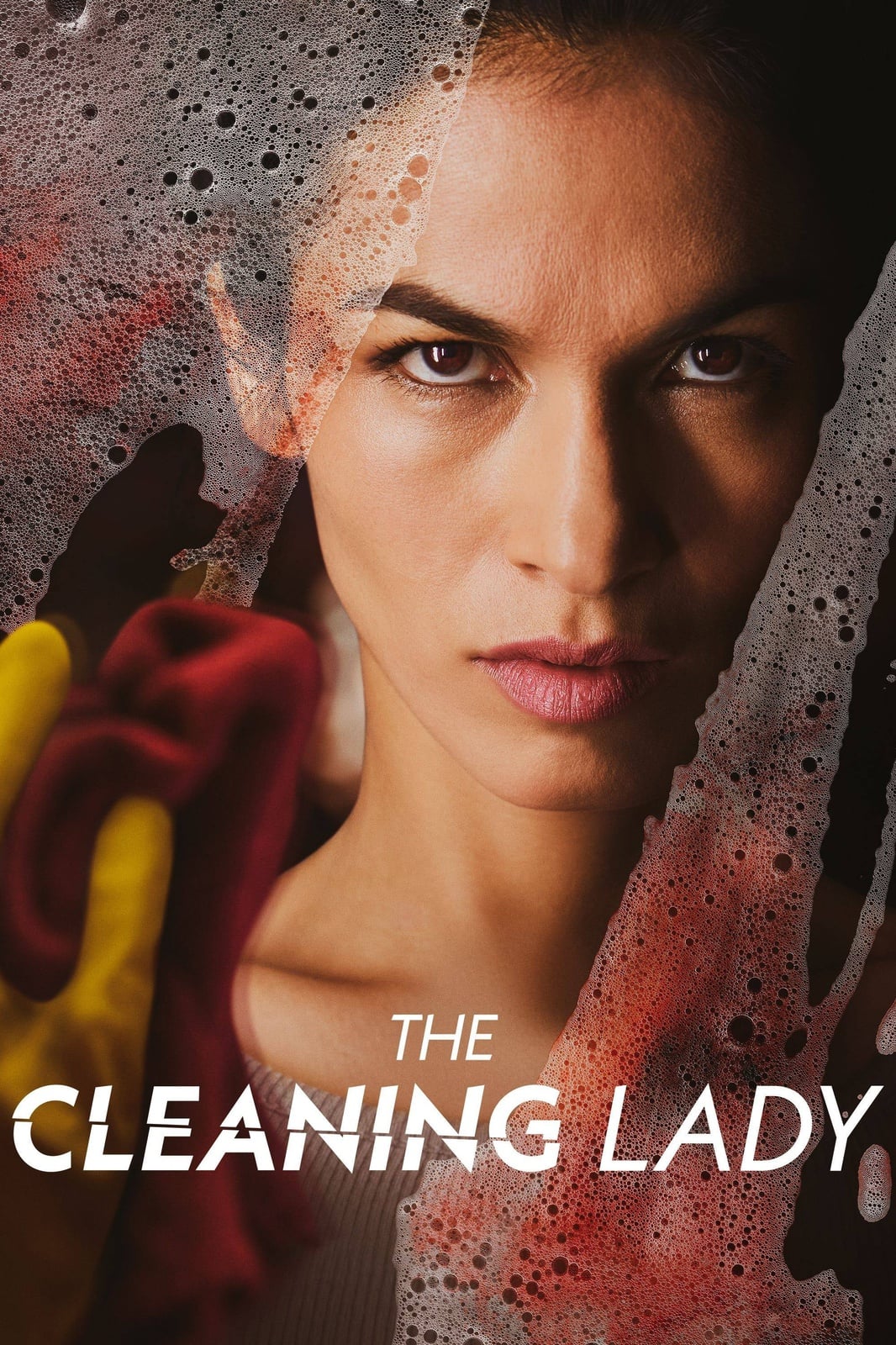 The Cleaning Lady - Cover