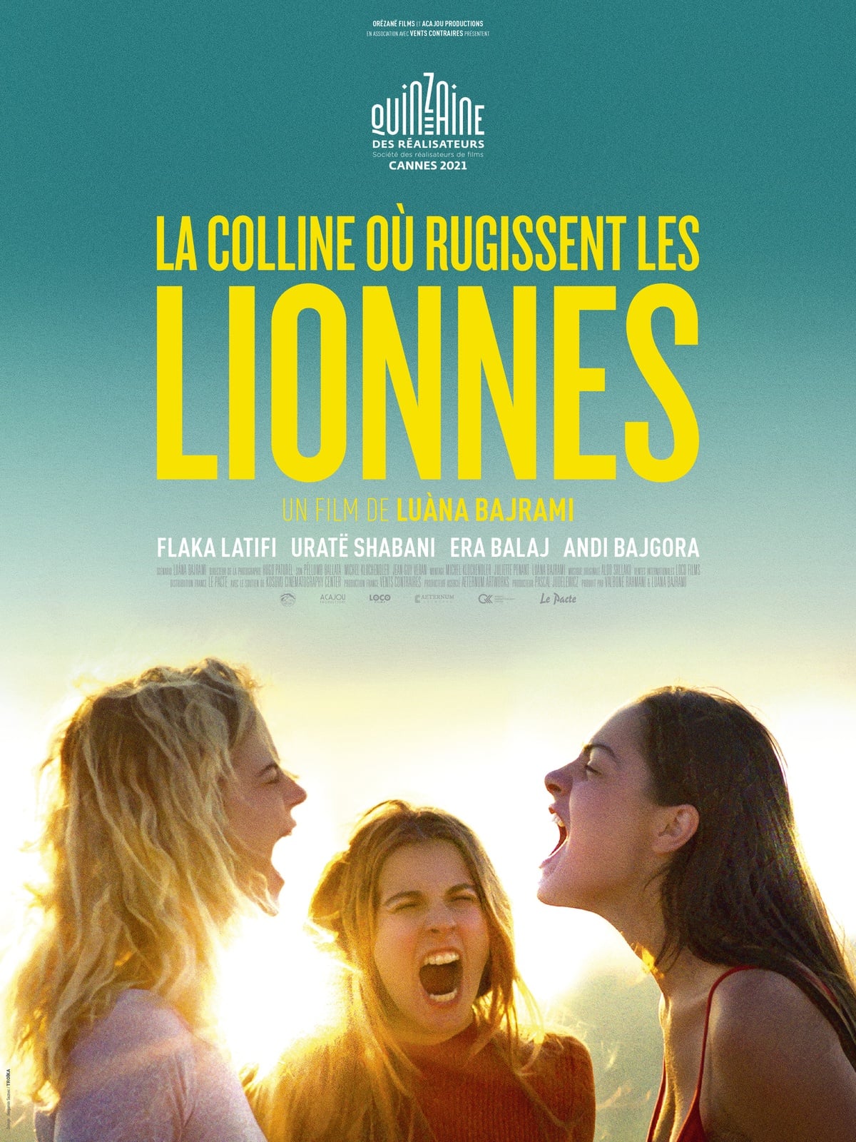 The Hill Where Lionesses Roar - Cover