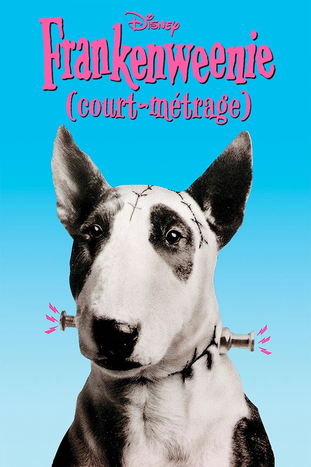 Frankenweenie - Cover