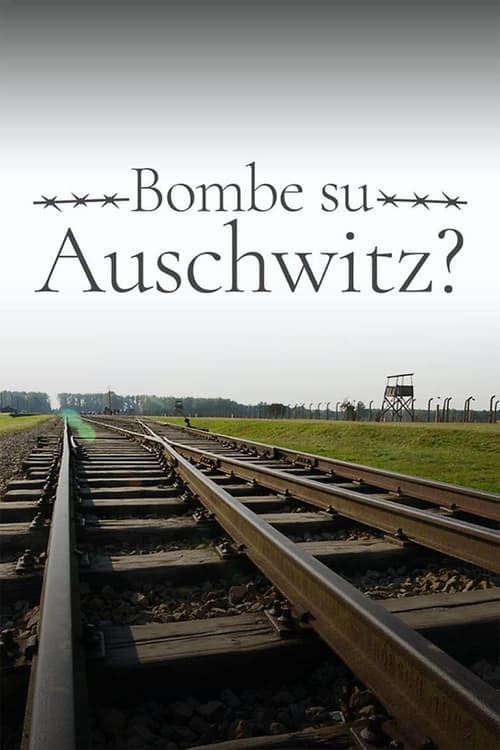 1944: Should We Bomb Auschwitz? - Cover
