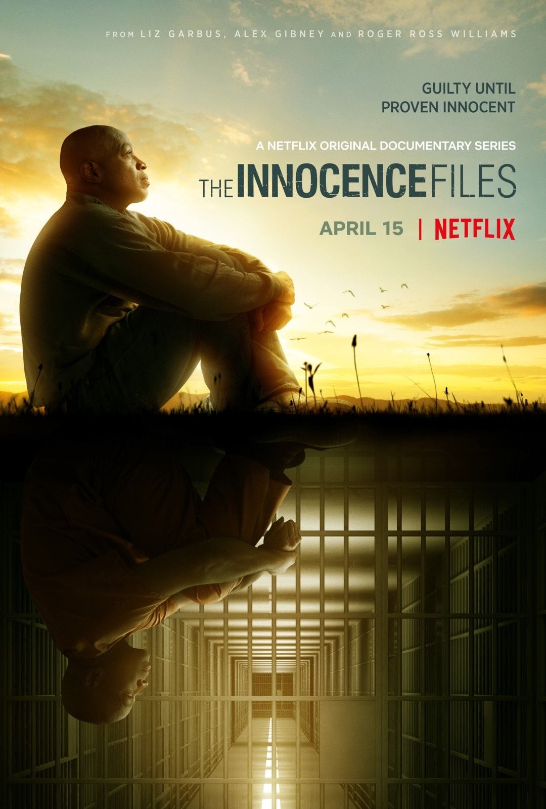 The Innocence Files - Cover