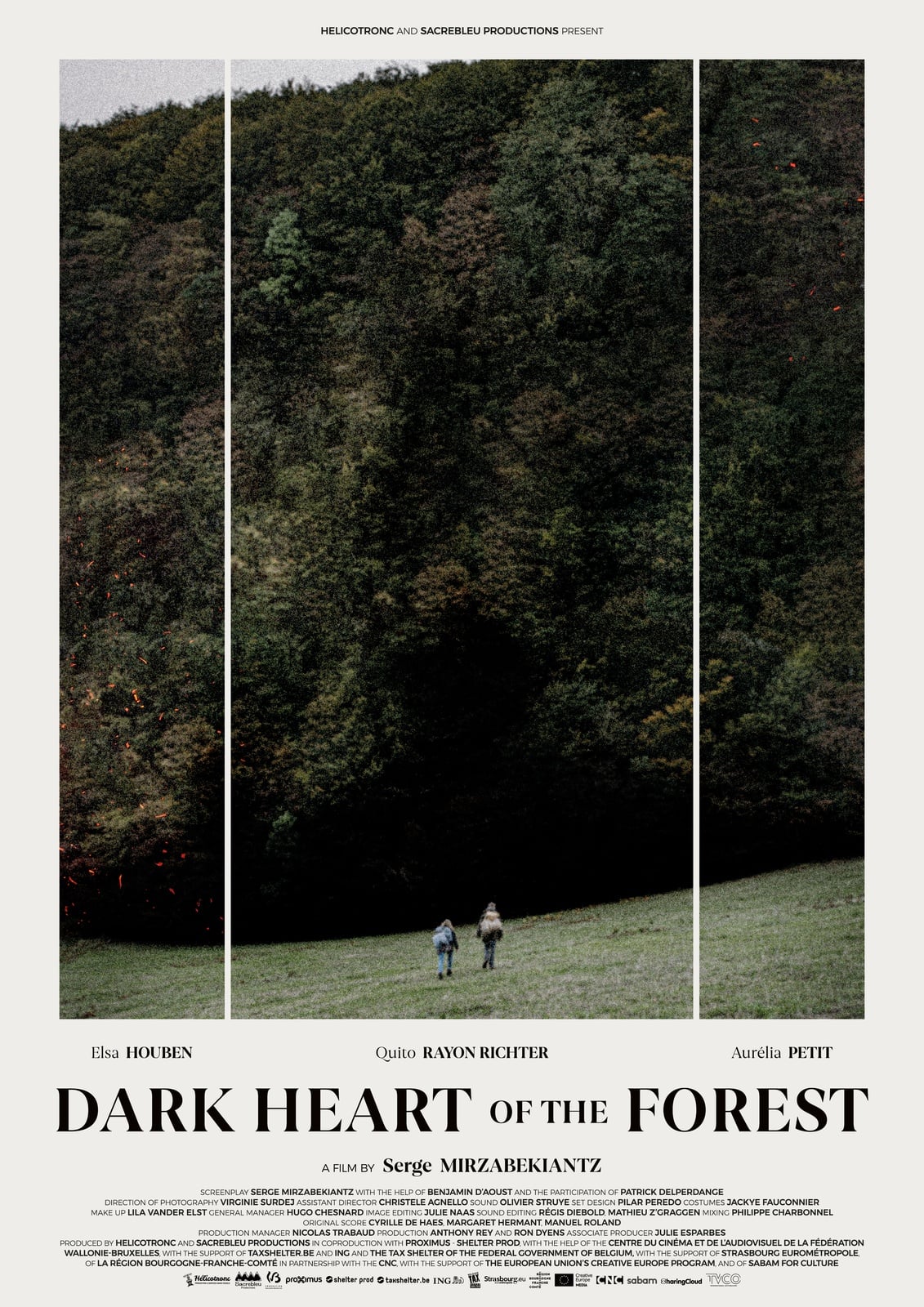 Dark Heart of the Forest - Cover