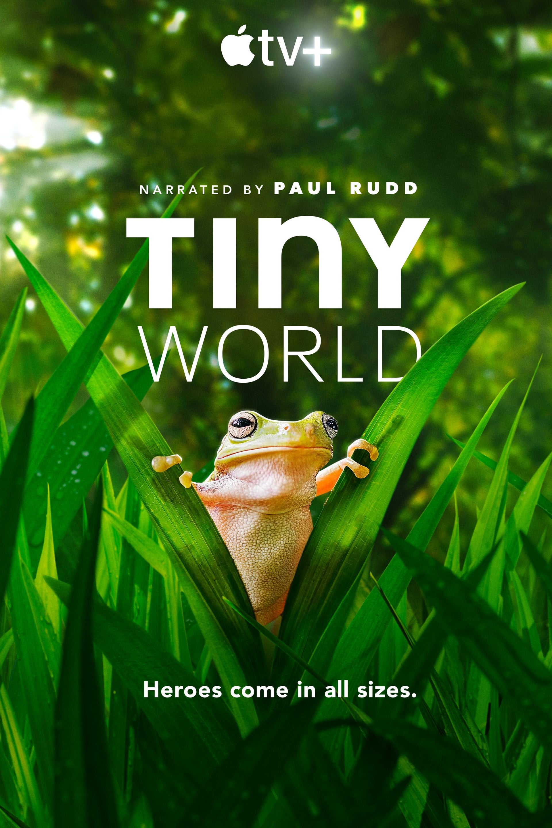 Tiny World - Cover