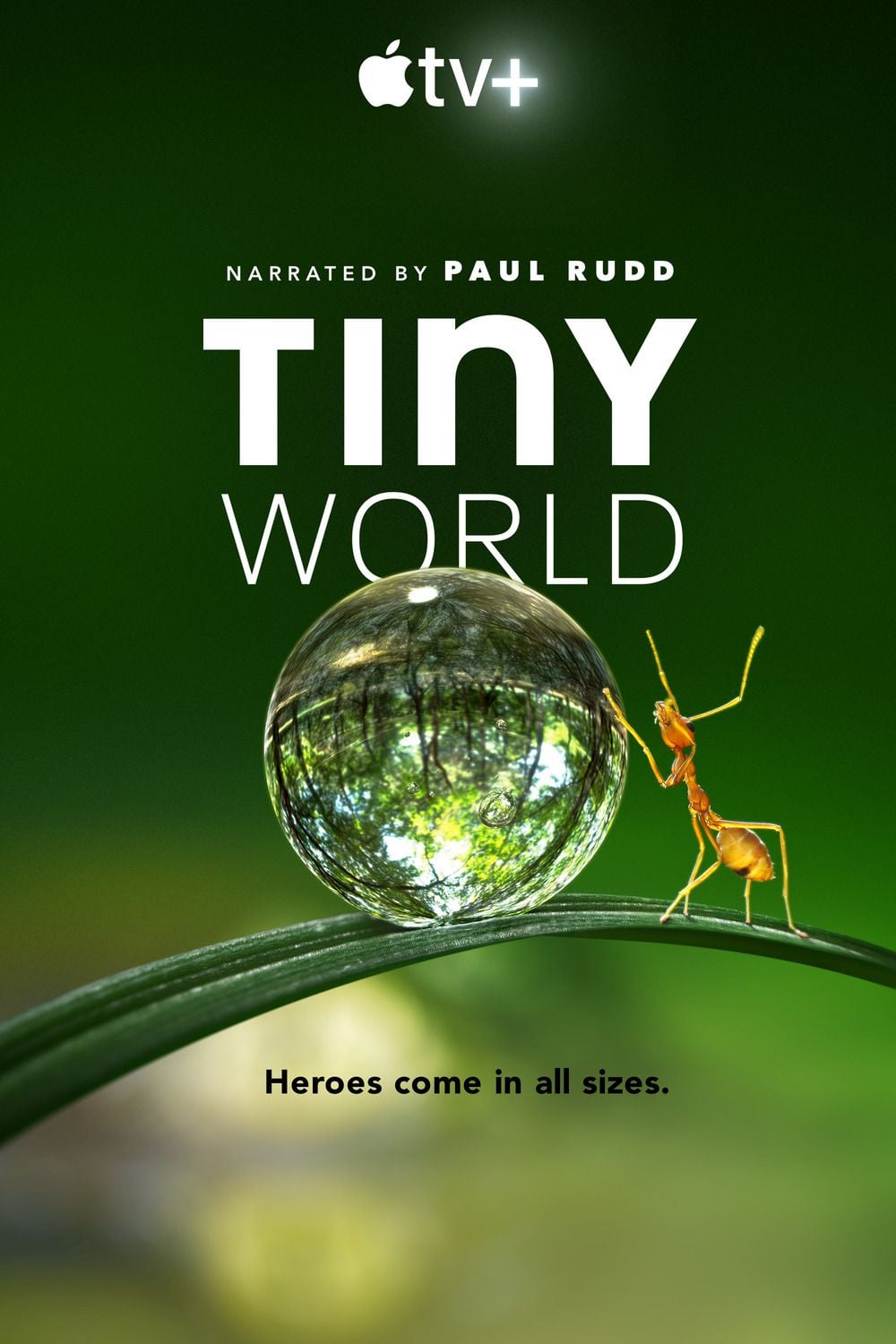 Tiny World - Cover