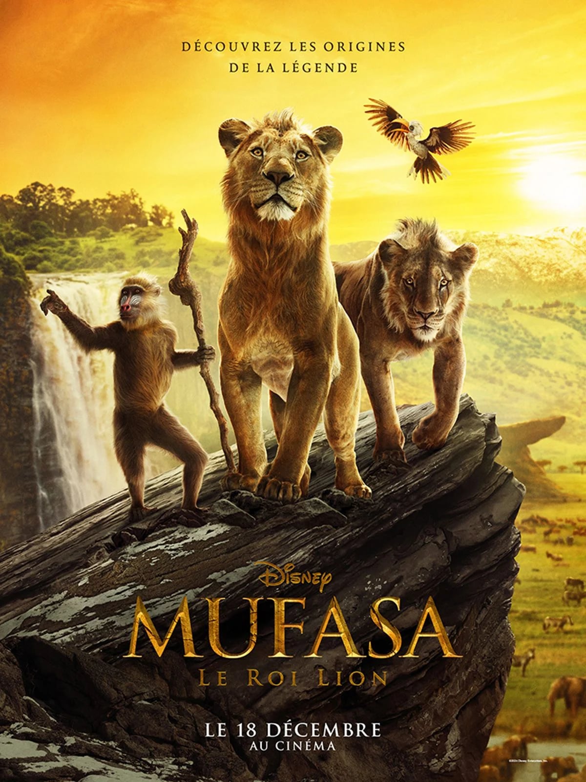 Mufasa : Le Roi Lion - Cover