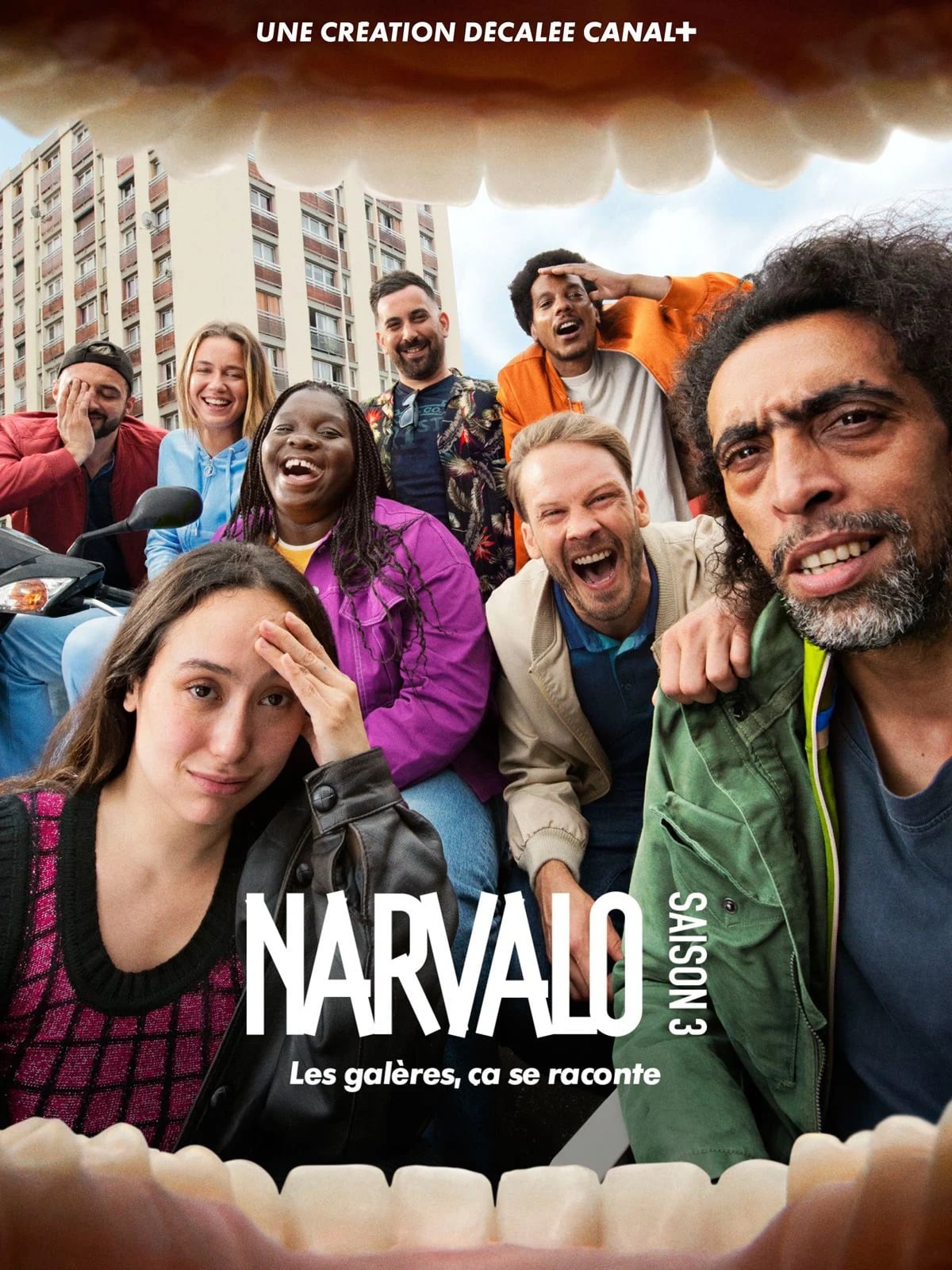 Narvalo : nouvelles galères - Cover