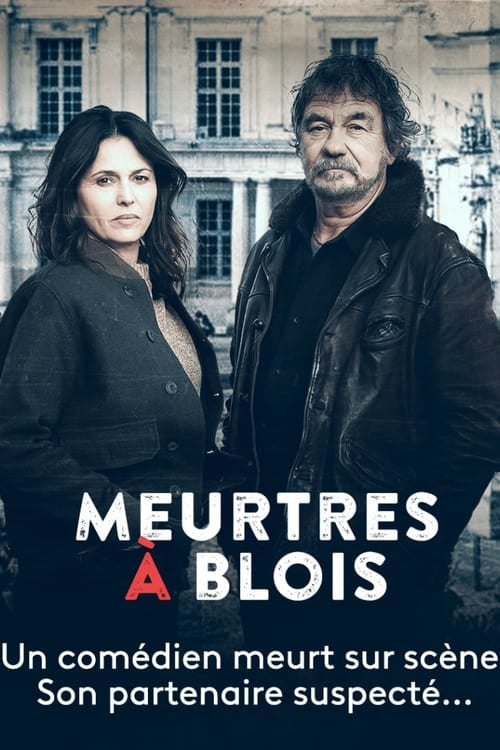 Meurtres à Blois - Cover