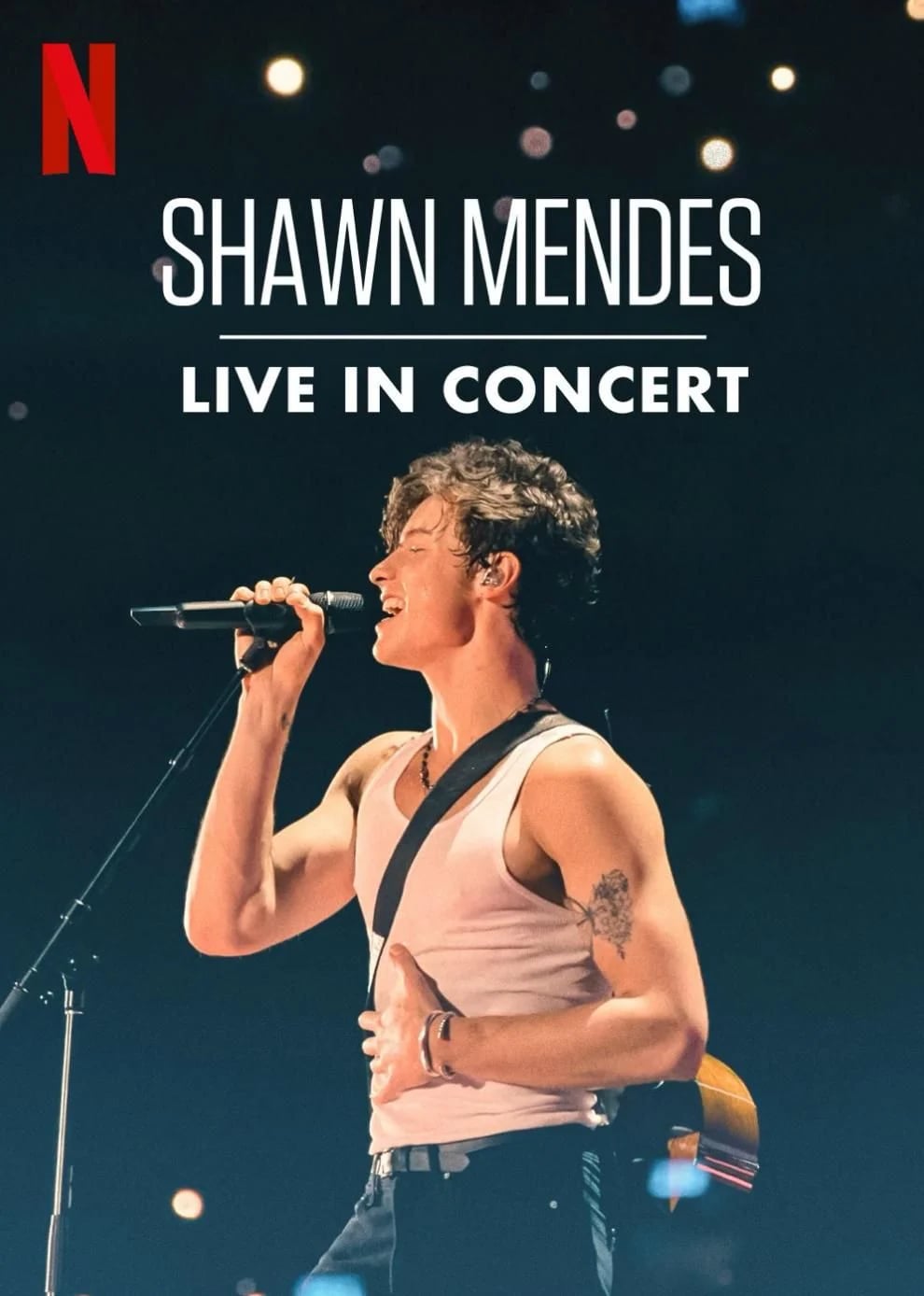 Shawn Mendes: Live In Concert - Cover