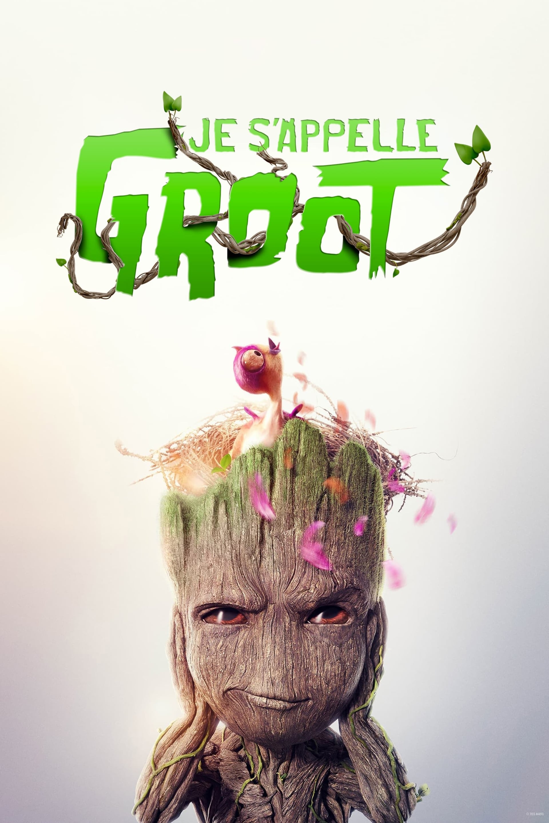 Je s'appelle Groot - Cover