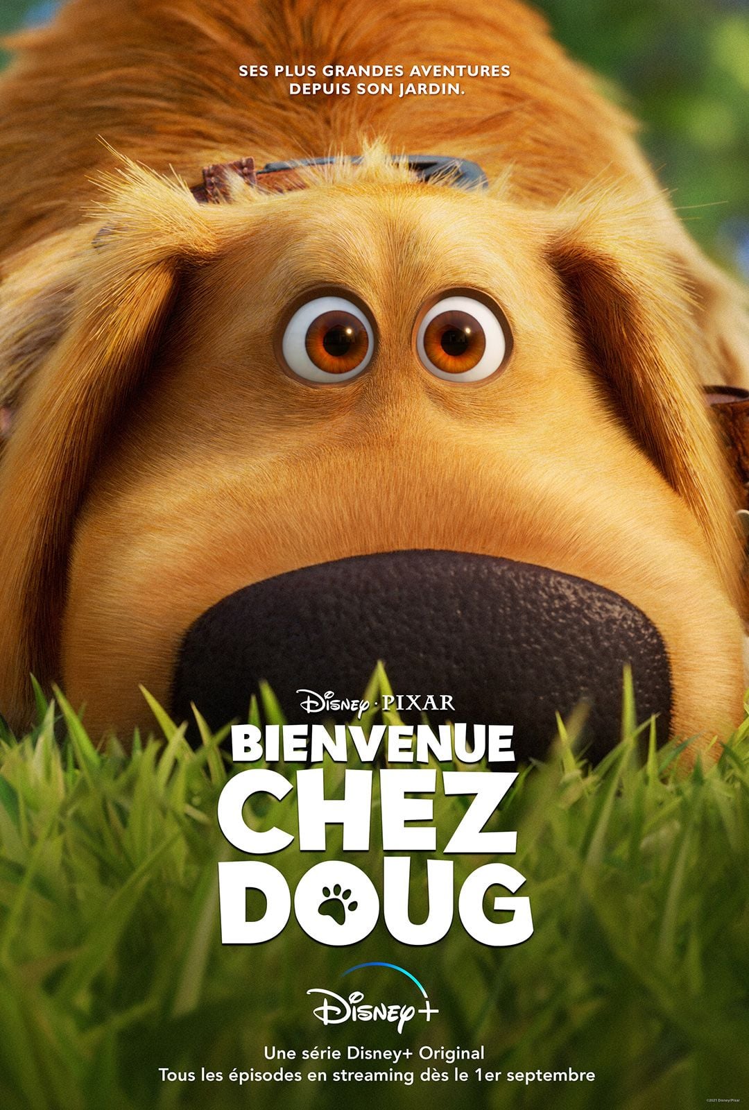 Bienvenue chez Doug - Cover